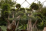 leipzig zoo-01_07_2011_gondwanaland_073